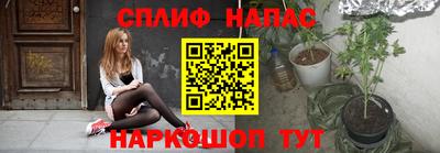 гидра Рязань