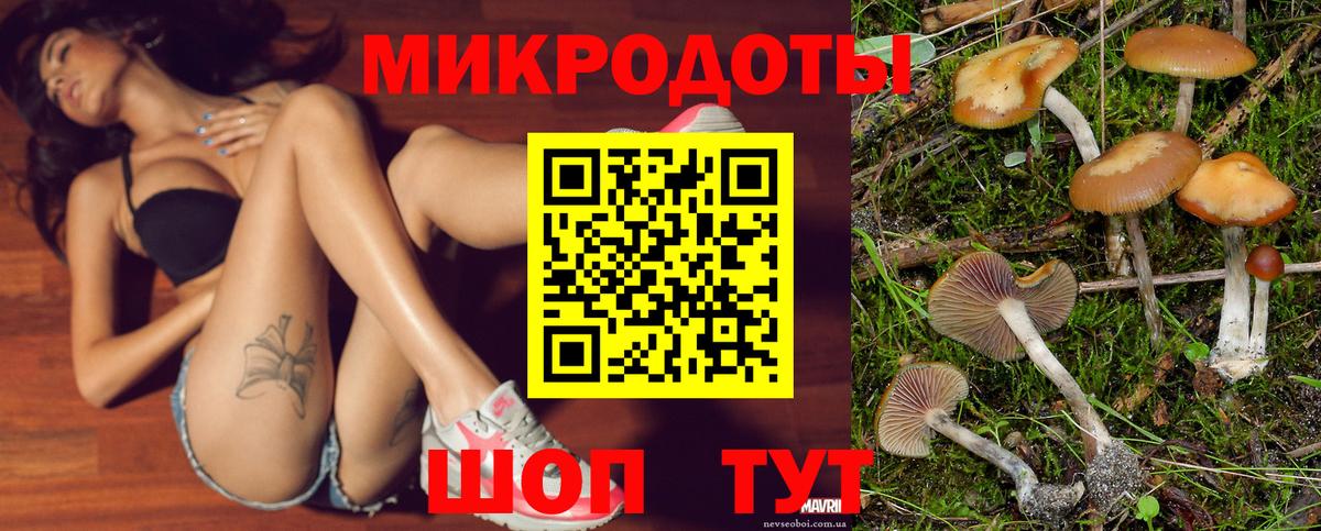 продажа наркотиков  Вход с VPN  Новочеркасск  Псилоцибиновые грибы мицелий 