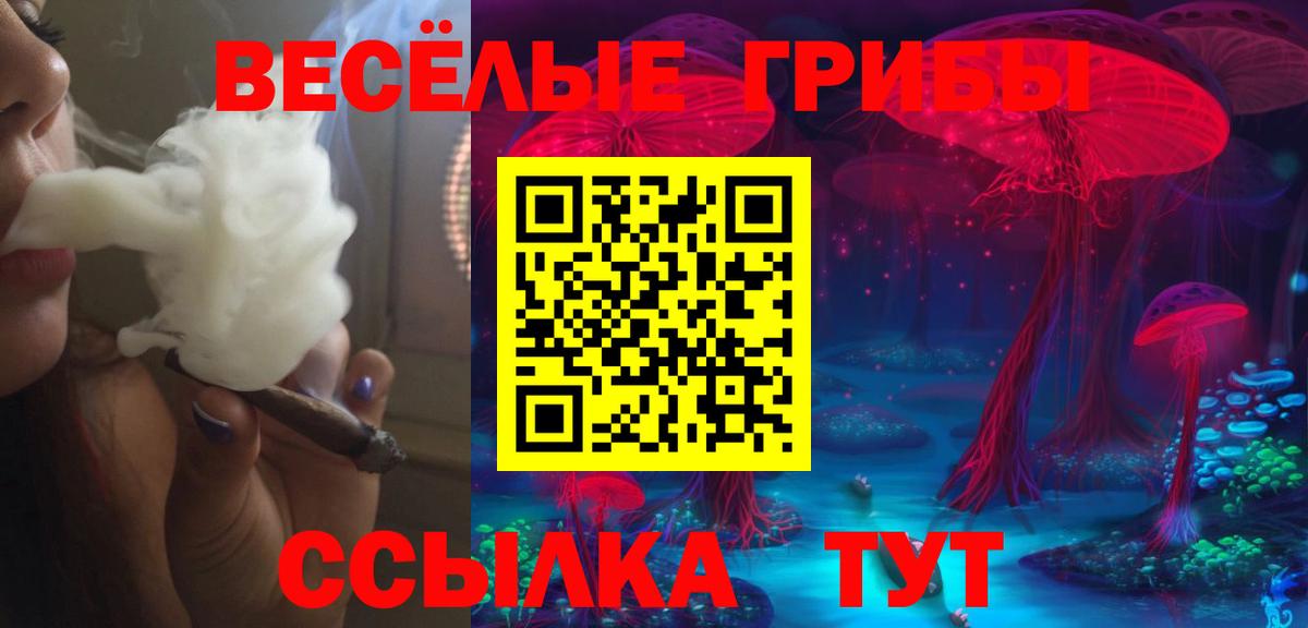 Псилоцибиновые грибы Magic Shrooms Новочеркасск